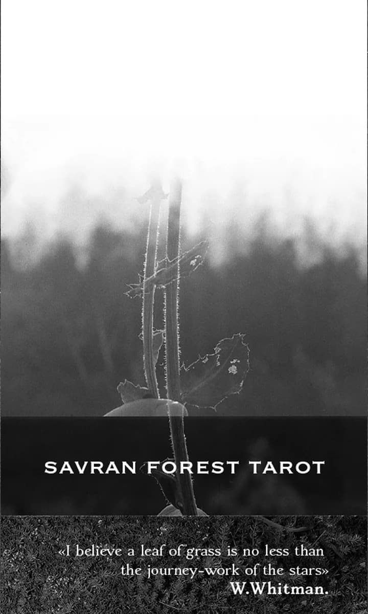 Savran Forest Tarot deck box